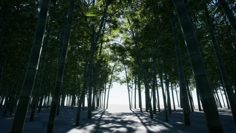 竹林-XBH TREE Vol. 3