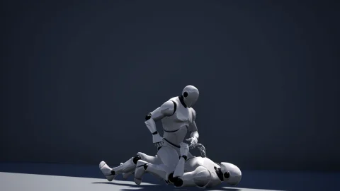 压制搏斗攻击动画-Full Mount Attacks