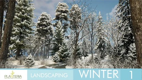 冬季景观美化场景 Landscaping Winter 1