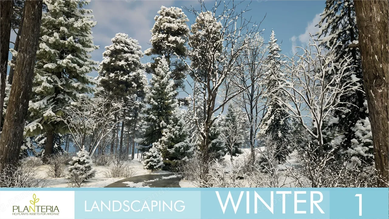 冬季景观美化场景 Landscaping Winter 1