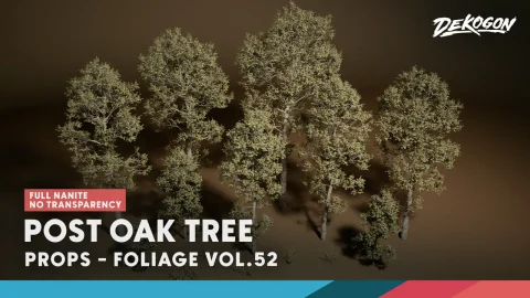 叶子 第52卷 - 橡树 - Foliage VOL.52- Post Oak Tree