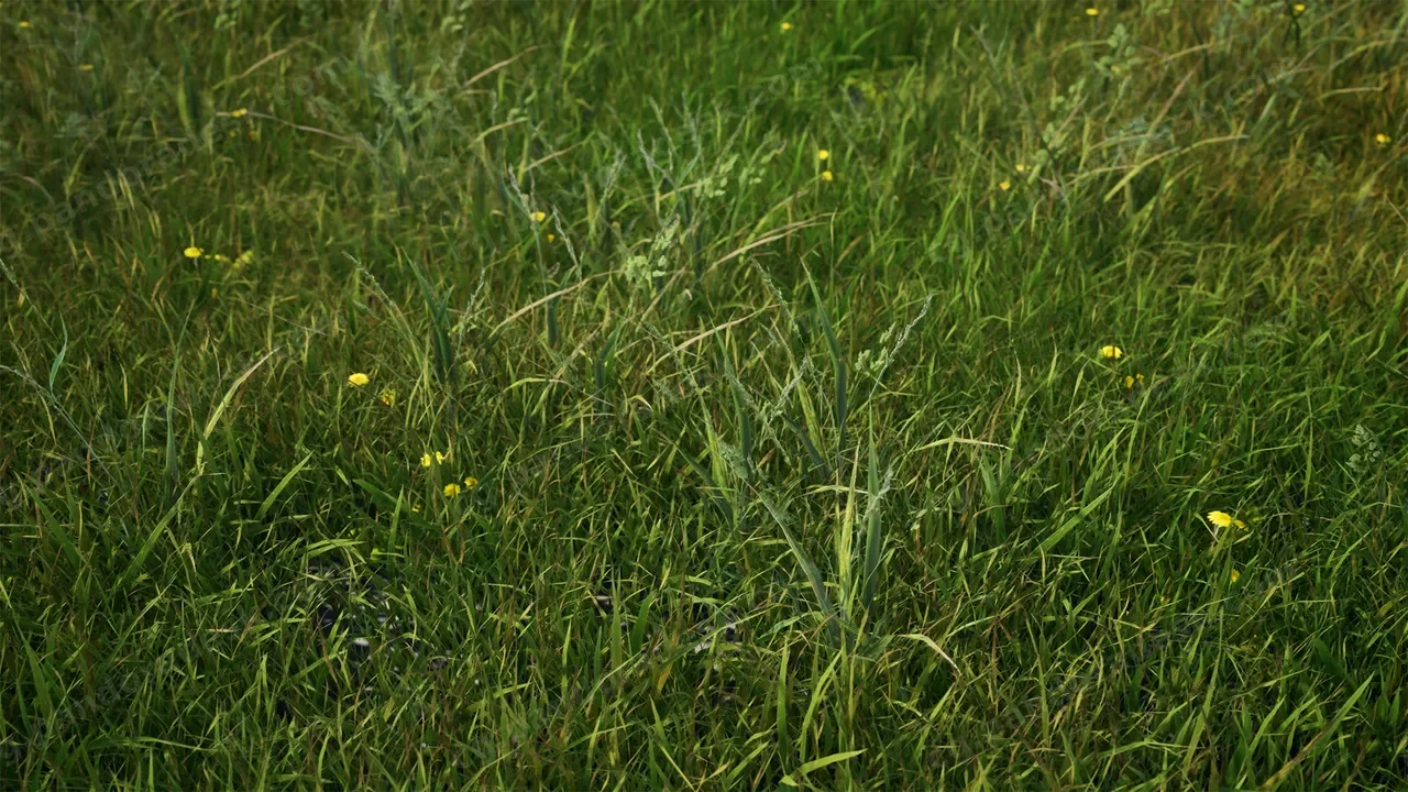 逼真的植被包 - Realistic Foliage Pack