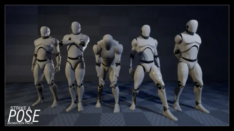 闲置姿势动画 - Strike A Pose - Animation Pack