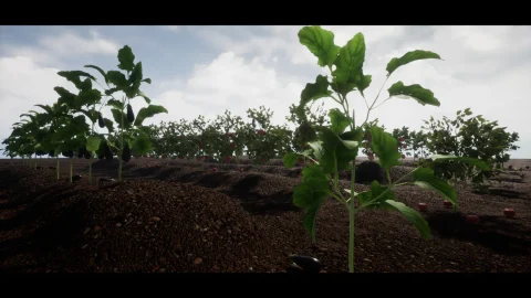 带有果实和蔬菜的全交互式物理植物 - 动态系统 R13 Full Interactive Physic Plants with Fruits and Veg - Dynamic System R13