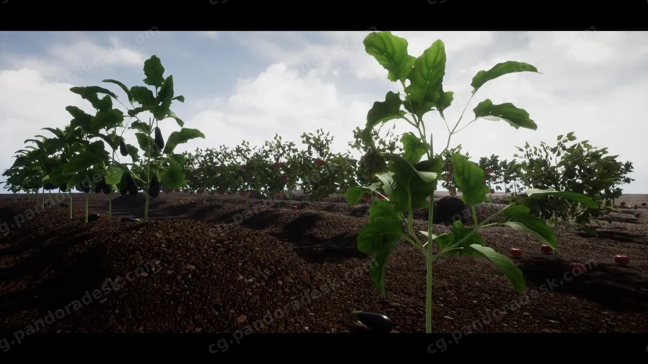 带有果实和蔬菜的全交互式物理植物 - 动态系统 R13 Full Interactive Physic Plants with Fruits and Veg - Dynamic System R13