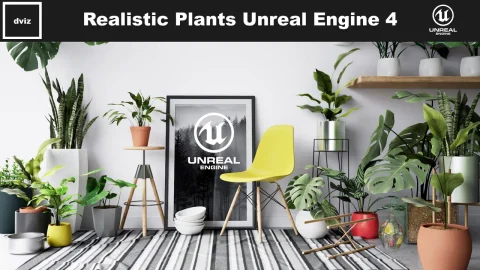 逼真植物、花瓶和环境套装 - Realistic Plants, Vases and Environments Pack