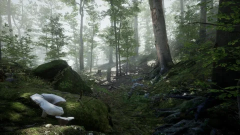 溪流树木-Forest - Environment Set