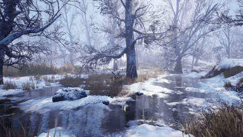 雪景森林-Winter Forest