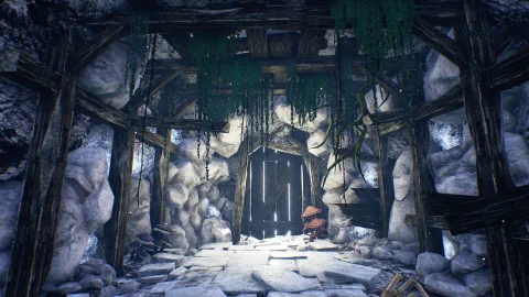 洞穴 - The Caves