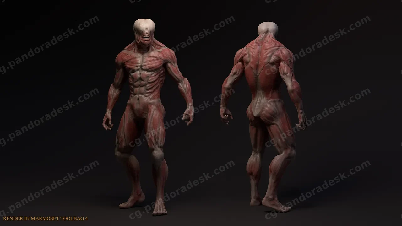 无皮肤突变体 Skinless mutant