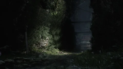 亚洲 - 洞穴 - ASIAN - Cave