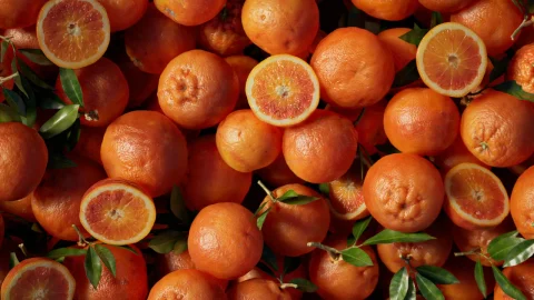 我的橘子 - My Oranges