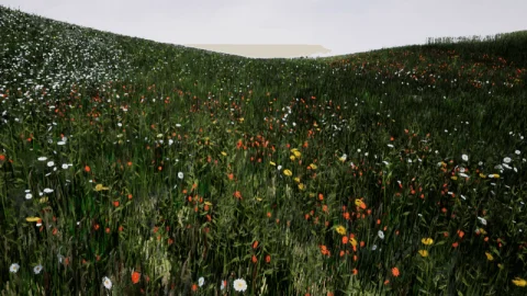 带有简单交互的草地-Grass with simple interaction