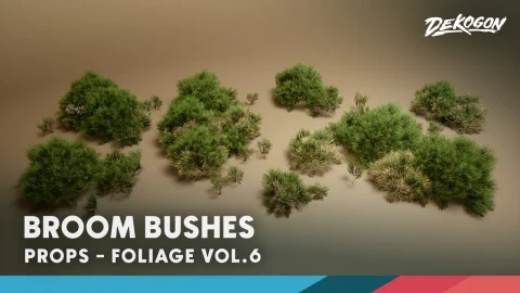 扫帚灌木丛植物包 - Foliage VOL.6 - Broom Bushes (Nanite and Low Poly)