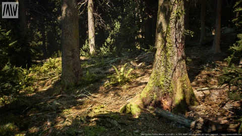 针叶树森林-MW Conifer Forest Trees Biome v4.3.0