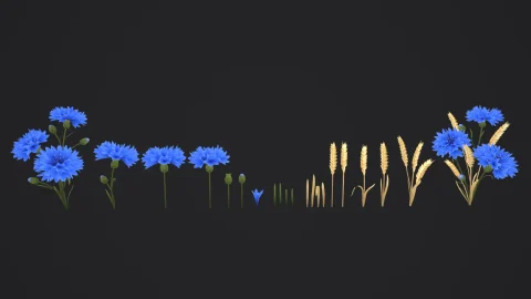 风格化手绘野花包：低多边形 3D 模型 - Stylized Handpainted Wildflowers Pack Low-poly 3D Model