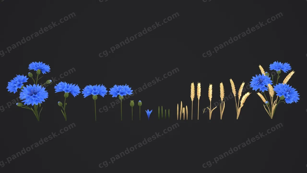 风格化手绘野花包:低多边形 3D 模型 - Stylized Handpainted Wildflowers Pack Low-poly 3D Model