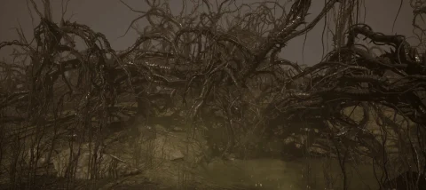 尖刺森林 - Forest Of Spikes