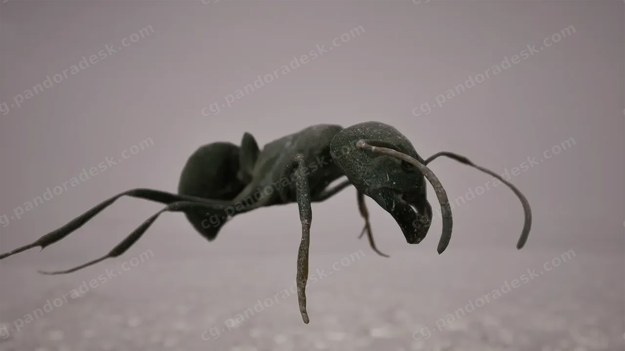 蚂蚁/蚂蚁路径蓝图 - Ants