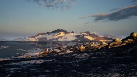 北极包 - Brushify - Arctic Pack