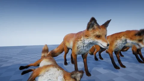 乌鸦/狐狸/雄鹿/母鹿/猪/狼 动物品种包 - ANIMAL VARIETY PACK