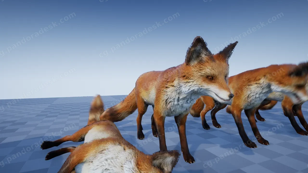 乌鸦/狐狸/雄鹿/母鹿/猪/狼 动物品种包 - ANIMAL VARIETY PACK