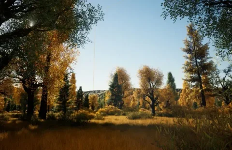 逼真的秋季森林场景 2x2 Realistic Autumn Forest Location 2x2