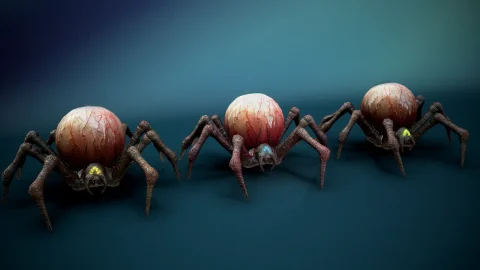 蜘蛛眼 Spide Eye