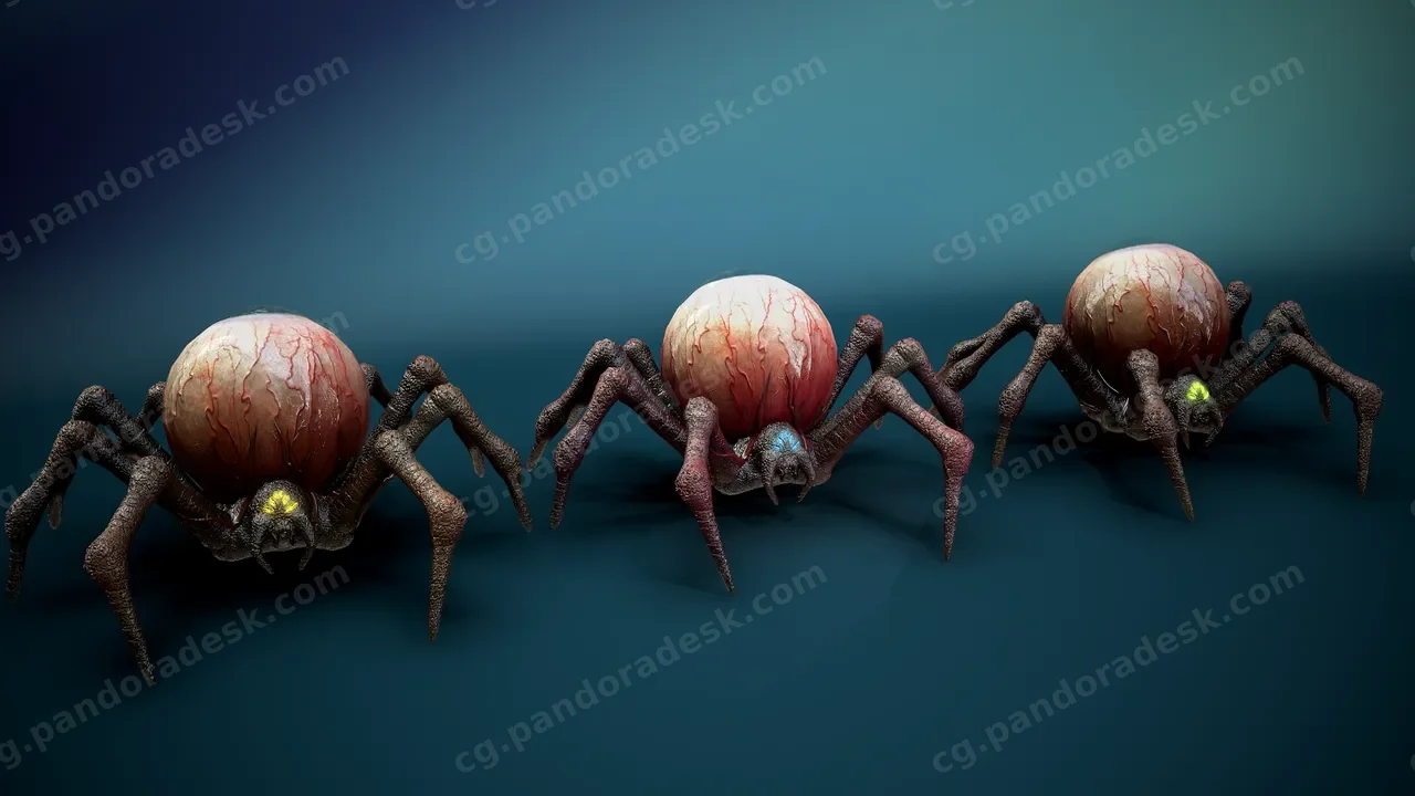 蜘蛛眼 Spide Eye