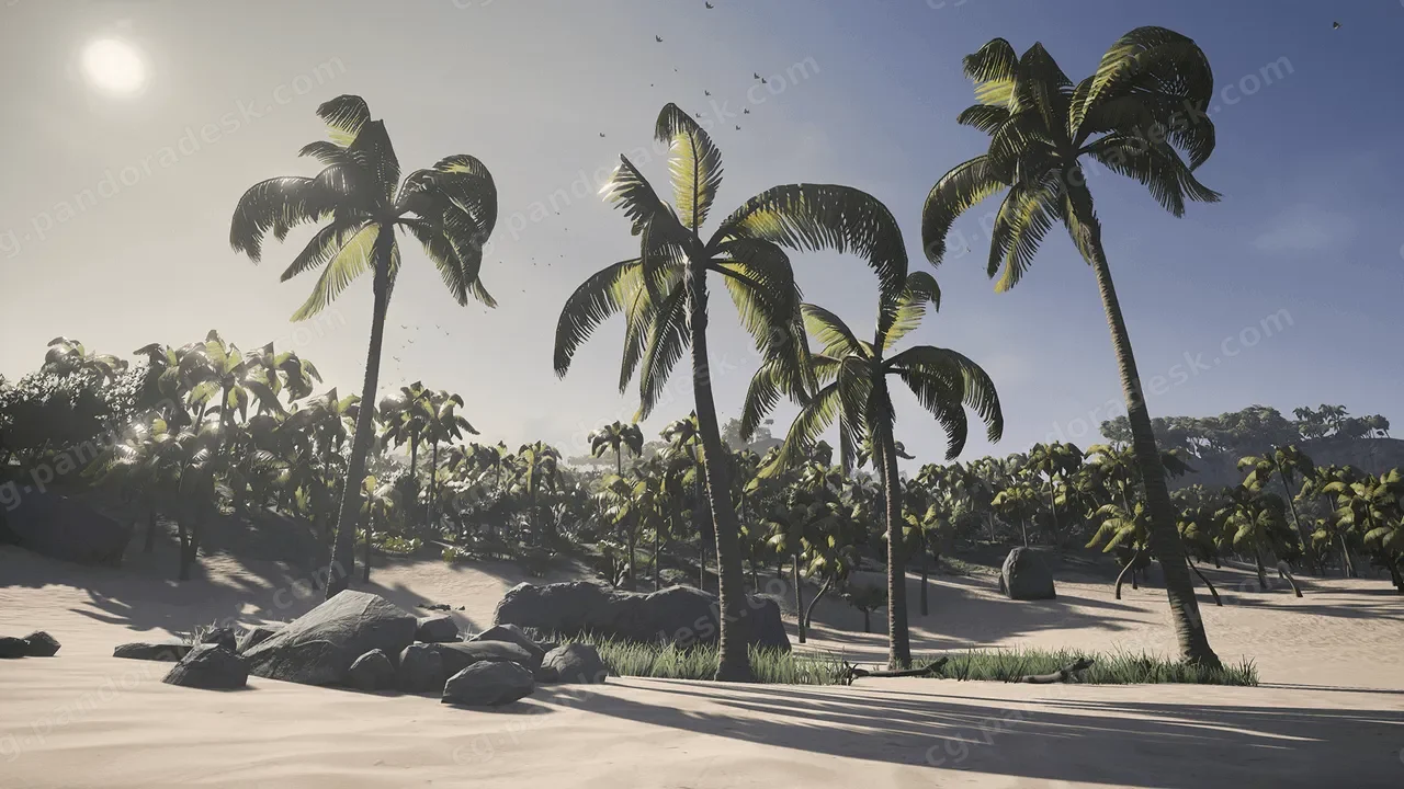 热带岛屿-Tropical Island Environment