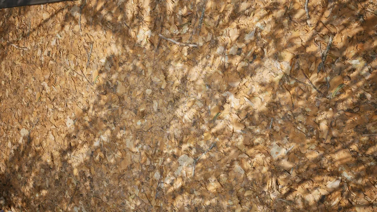 场地01 - 摄影测量扫描素材 - Ground 01 - Scanned Photogrammetry Materials