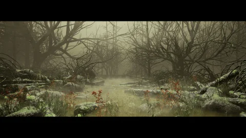 沼泽森林 - Swamp