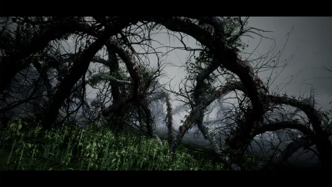 恐怖畸形森林 - MalformedForest