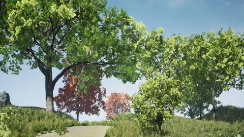 枫树包 - Tree Pack (Assorted Maple Trees)