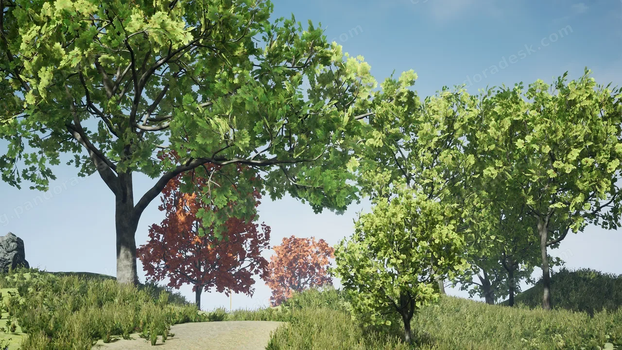枫树包 - Tree Pack (Assorted Maple Trees)
