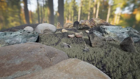石头和树枝包 - Stones and Branches Vol 1