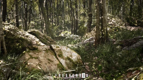 程序橡树林 - Procedural Oak Forest