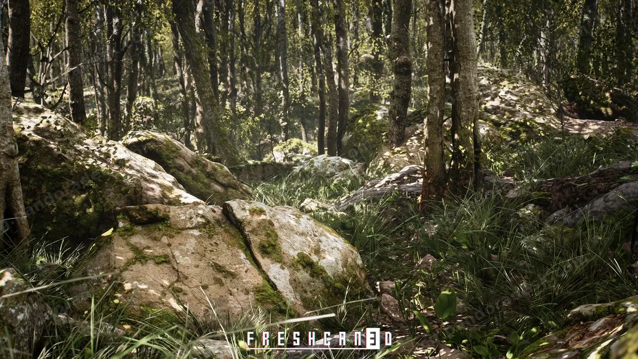 程序橡树林 - Procedural Oak Forest