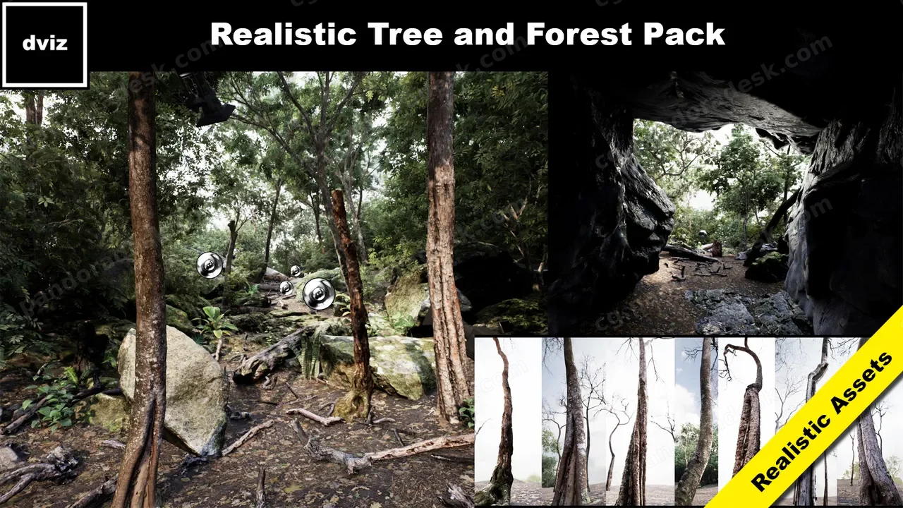 森林树木/岩石-Trees: Realistic Forest Plants Pack
