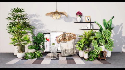 盆栽植物包 - PottedPlantPack2
