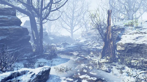 冬季森林套装 - Winter Forest Set