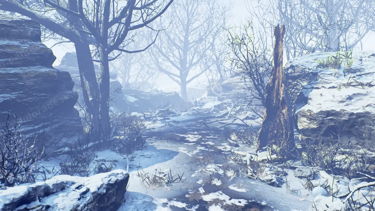 冬季森林套装 - Winter Forest Set