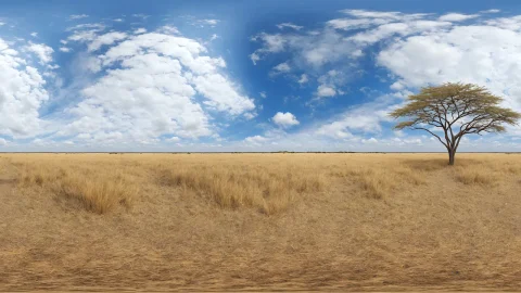 HDRI稀树草原全景图 HDRI Savanna Panoramas