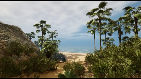 海岛海滩和海岸环境 - Beach and Coast Environment