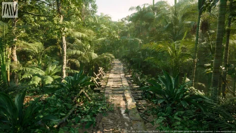 热带雨林树木生物群落 - MW Tropical Rainforest Trees Biome