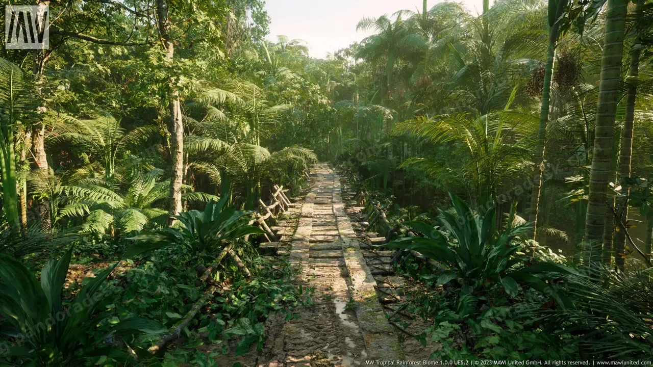 热带雨林树木生物群落 - MW Tropical Rainforest Trees Biome