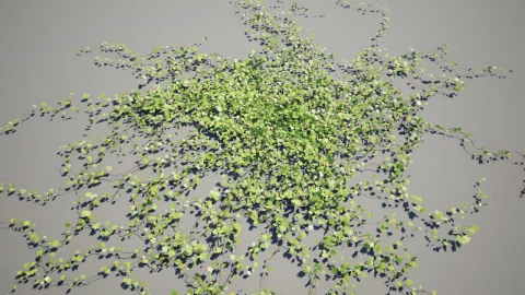 藤蔓 - Vines 3D Models