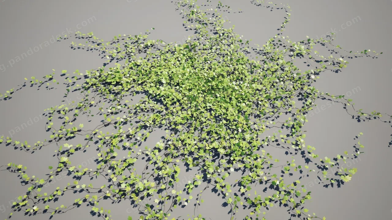 藤蔓 - Vines 3D Models
