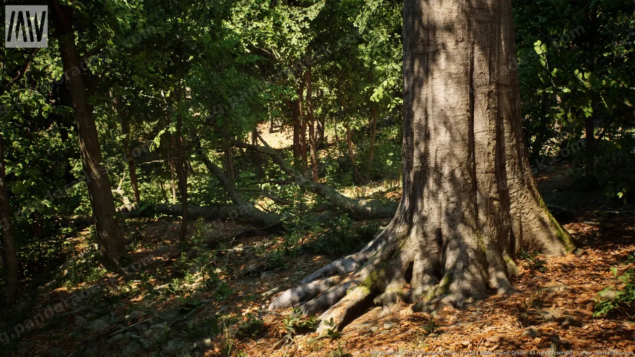 MW阔叶林生物群系-MW Broadleaf Tree Forest Biome v4.1.0