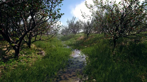 写实自然植物树木花草素材模型 Nanite Foliage V2